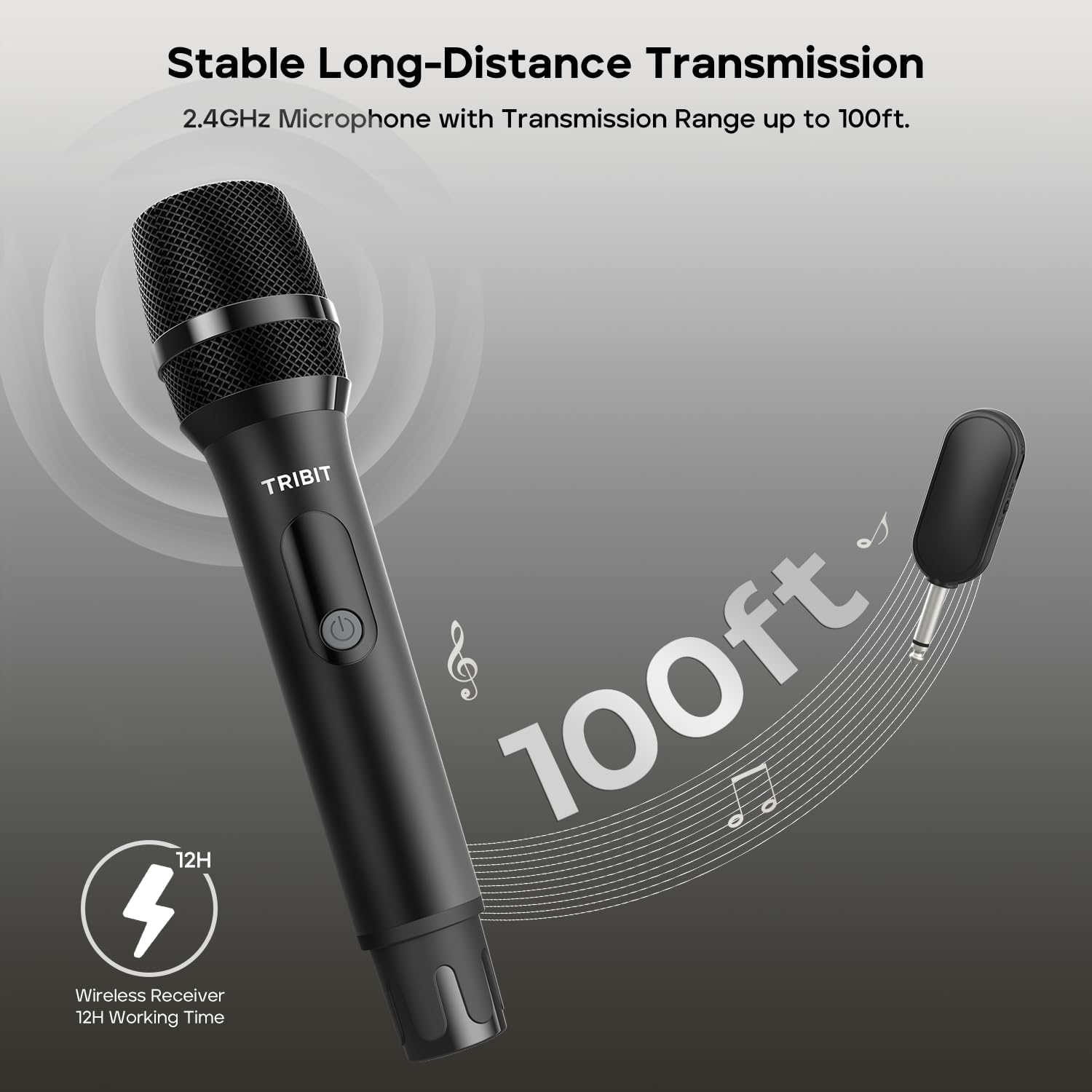 TRIBIT Wireless Dual Microphone System