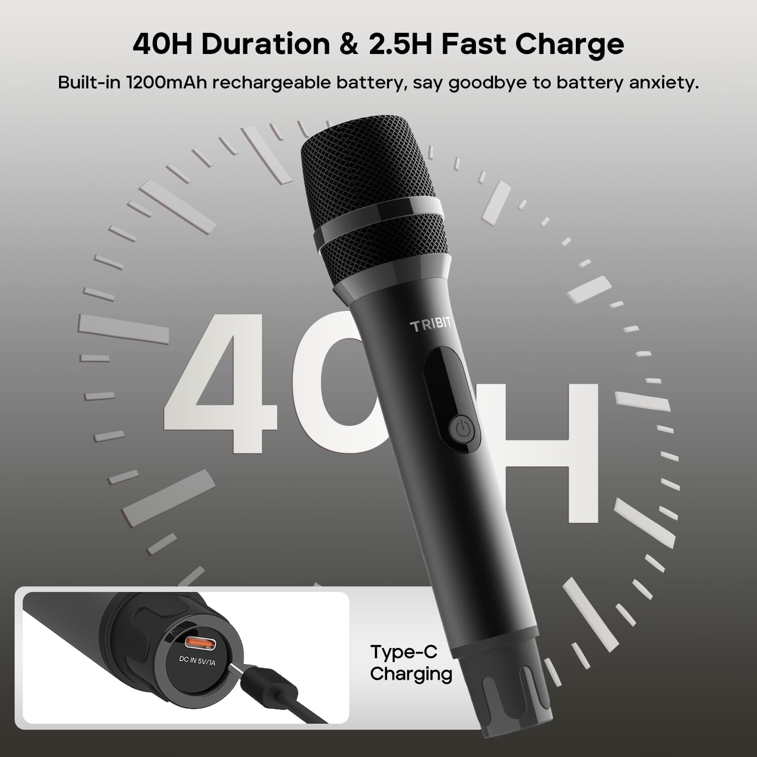 TRIBIT Wireless Dual Microphone System